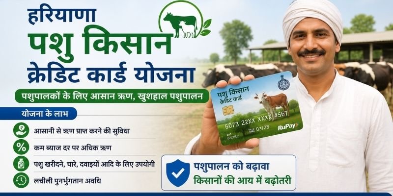 Haryana Pashu Kisan Credit Card Yojana