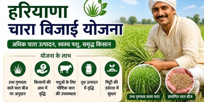 Haryana Chara Bijai Yojana
